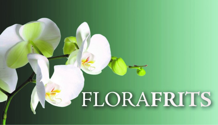 Flora Frits